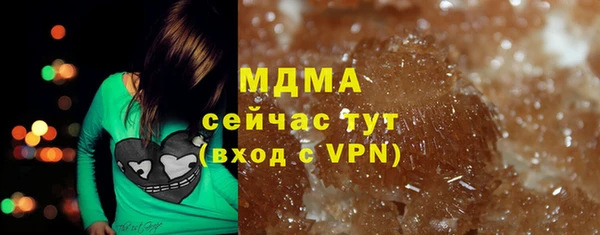прущие грибы Горняк