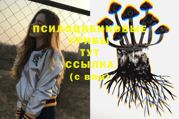 бутират Горнозаводск