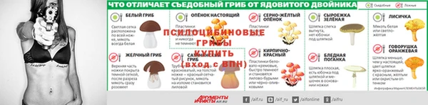 прущие грибы Горняк