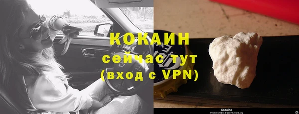 прущие грибы Горняк