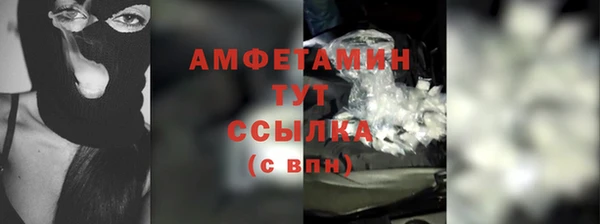 прущие грибы Горняк