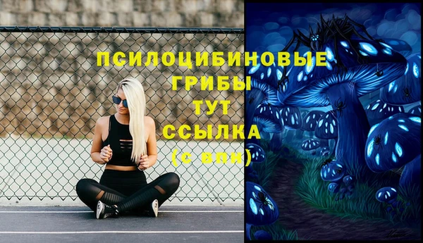 прущие грибы Горняк