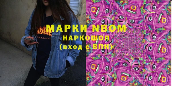 прущие грибы Горняк