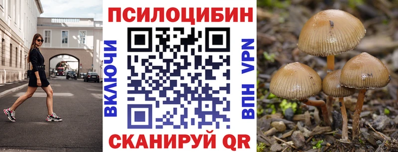 Псилоцибиновые грибы прущие грибы  Купить  Новохопёрск 