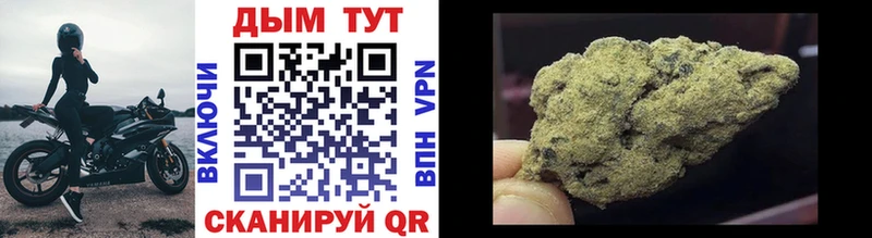Купить где  Новохопёрск  Каннабис Amnesia 